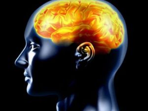 أجزاء مختلفة من الدماغ يتم استعمالها عندما يختار الشخص إخفاء مشاعره بمحض إرادته، مقارنة بأمره لإخفاء هذه المشاعر