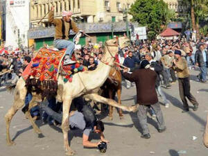 "Camel Battle" during the Egyptian revolution.