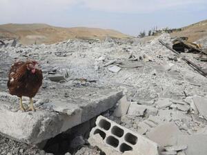 A lone chicken is seen in the rubble of the site where an Israeli airstrike struck Damascus earlier this month. AFP Image