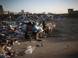 عمال بلدية غزة يستخدمون عربة يجرها حمار لجمع القمامة 
