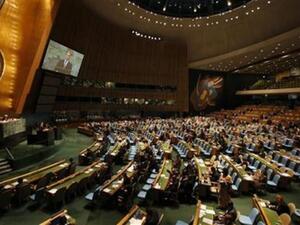 The UN General Assembly 