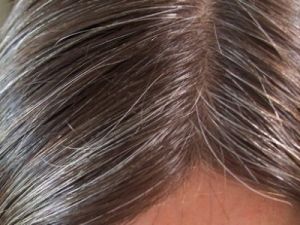 الشعر الشائب 