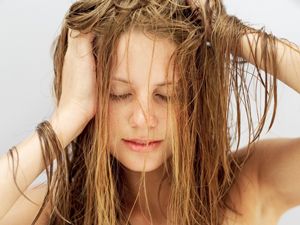 الشعر الجافّ يمتصّ الزيت، ما يجعله لمّاعاً وناعماً