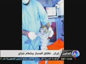 Iran launches a monkey above the Earth's atmosphere in a capsule successfully. (AFP / Al-Alam TV)