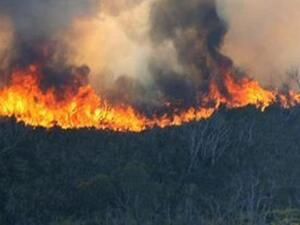 Huge fire