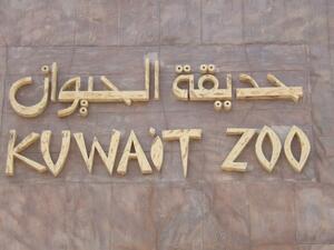 Bring your kids to the zoo and let them watch Arab children roam free and create chaos.