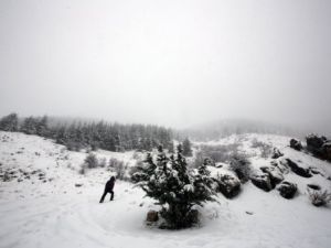 قتيل وثلاثة جرحى جراء انهيار ثلجي في شمال لبنان