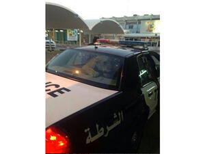 The lion which was arrested in Bayan, Kuwait last weekend. (Image: Twitter)