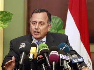 وزير الخارجية المصري نبيل فهمي