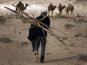وصف معارضو هذا المشروع بانه "كارثي".
