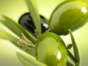 Olives from Palestine.