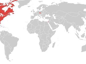 The red masses who said NO to Palestine's journey to upgrade its place on the UN charter of member-states (Image courtesy of Washington Post)