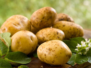 “The ministry has a zero-tolerance policy towards the import and sale of Israeli products and if there are Israeli potatoes in the stores, there will be stringent action against those involved,” the sources said.