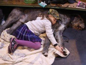 نصائح لنوم أفضل 