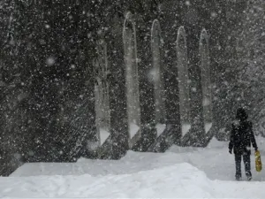 Lost in the snow?