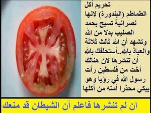 This tomato has been declared infedelicous by the Salafiis of Lebanon