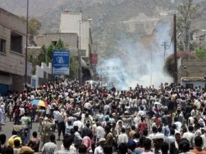 تظاهرة في تعز الخميس منددة بالحكومة
