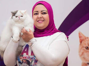 قصة شعر تليق  بالقطه المدللة 