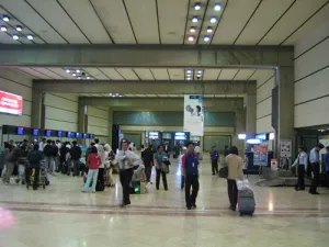  وضعت الأحشاء بطريقه موضبة وبعناية 