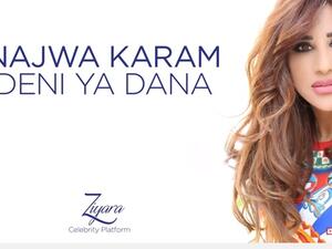 الفنانة نجوى كرم