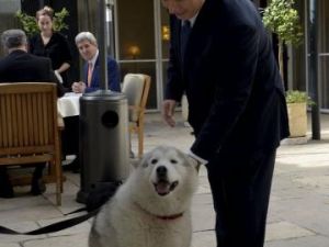 نتنياهو بجوار كلبته كايا خلال اجتماع مع وزير الخارجية الأمريكي جون كيري
