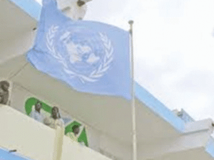 انتحاري فجر نفسه أمام بوابة مكتب برنامج الأمم المتحدة الانمائي