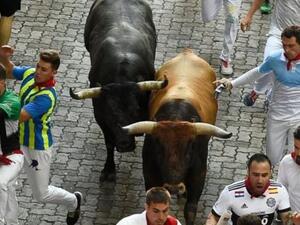 السعودية تنظم "تحدي الثيران" على الطريقة الإسبانية