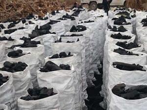 الأمم المتحدة تحظر تصدير الفحم الصومالي منذ 2012 لقطع مصادر التمويل عن حركة الشباب