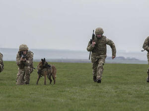 تم تأسيس جائزة ديكين من قبل جمعية "بي دي إس أيه" الخيرية للحيوانات