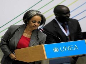 الدبلوماسية الشهيرة سهول فورك زودي