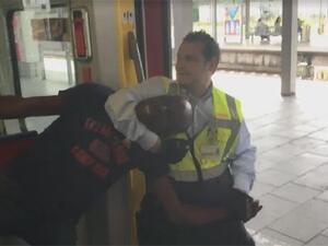   صوت راكبتين تحاولان التدخل وتدافعان عن الرجل