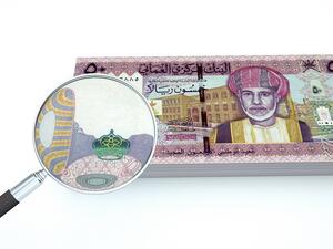 The new system is designed to automatically detect late or non-payment of salaries to employees in the private sector. (Shutterstock)  The new system is designed to automatically detect late or non-payment of salaries to employees in the private sector. (Shutterstock)