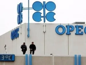 OPEC's last meeting in November ended without concrete plans to change the status quo. (File photo)