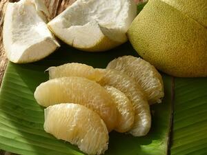 تناول البوملي بانتظام يزيد من ترسب الكولاجين ويبطئ انهياره

