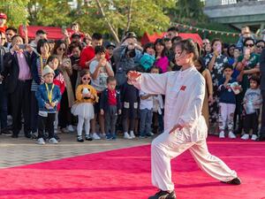 تضم فعاليات احتفالات رأس السنة الصينية، الممتدة من 10 إلى 24 فبراير، مجموعة واسعة من النشاطات التقليدية الصينية.