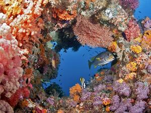 Air Cairo implements a new strategy to expand the company’s network in Europe. 