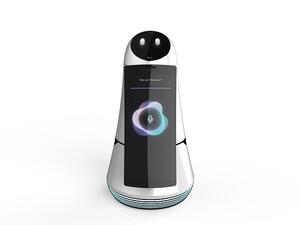 Airport Guide Robot