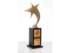 الجائزة