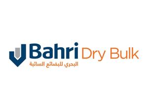البحري للبضائع السائبة