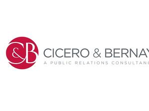 يعتبر معهد دبي القضائي الهيئة المسؤولة عن توفير التدريب القانوني والقضائي، وفقًا لتوجيهات حكومة دبي ولوائحها، وكان قد انضم إلى محفظة "سيسيرو وبيرناي" المتنامية من العملاء الحكوميين في العام 2017.