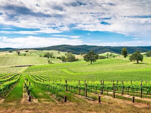 Cathay Pacific Gives You More - Adelaide