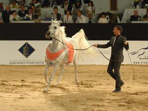 Dubai International Horse Fair