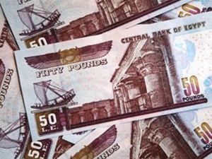 فقد الاحتياطي النقدي الأجنبي لدى البنك المركزي المصري نحو 9.5 مليار دولار خلال الأشهر الخمسة الأولى من العام الحالي يعني خطورة كبرى على اقتصاد مصر