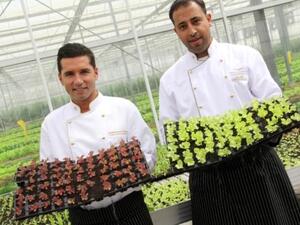 Etihad organics