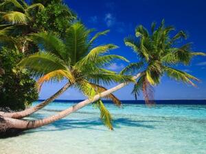 The Maldives features deep blue seas, sandy beaches and turquoise reefs