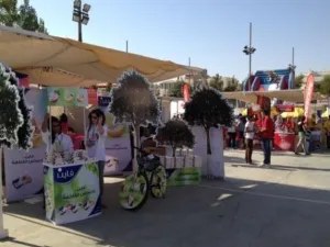 خلال المهرجان