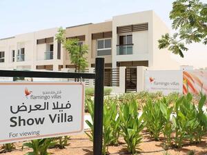 Flamingo Villas project