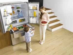 French door Refrigerator from samsung French door Refrigerator from samsung