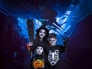 Emaar Entertainment is celebrating Halloween with fantastic activities and special offers.  