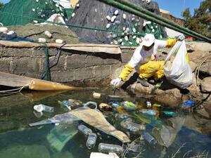 During the 15th Clean-Up UAE campaign